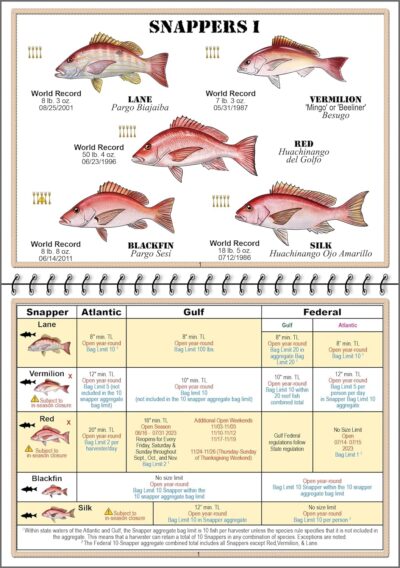 Florida Saltwater Fish Identification Book with FWC Rules, Regulations, Limits, and Sizes with 90+ Marine and Shark Photographs, Waterproof Fishing Guide, Angler and Fishermen Booklet, Blue