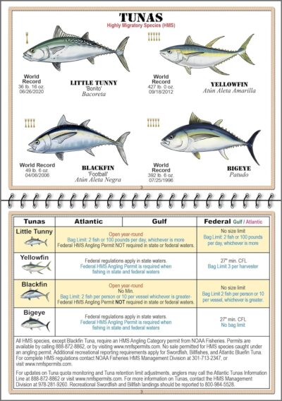 Florida Saltwater Fish Identification Book with FWC Rules, Regulations, Limits, and Sizes with 90+ Marine and Shark Photographs, Waterproof Fishing Guide, Angler and Fishermen Booklet, Blue