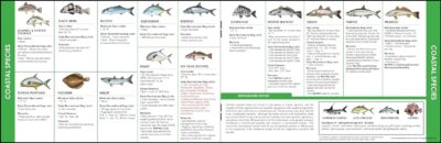 Florida Saltwater Fishing Guide. 100% Waterproof Fish Identification Book with 12 Pages, FWC Rules, Limits, and Seasonal Regulations, 70+ Fish and Shark Photos, Angler and Fisherman Chart