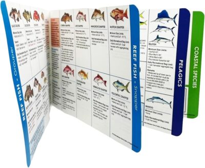 Florida Saltwater Fishing Guide. 100% Waterproof Fish Identification Book with 12 Pages, FWC Rules, Limits, and Seasonal Regulations, 70+ Fish and Shark Photos, Angler and Fisherman Chart